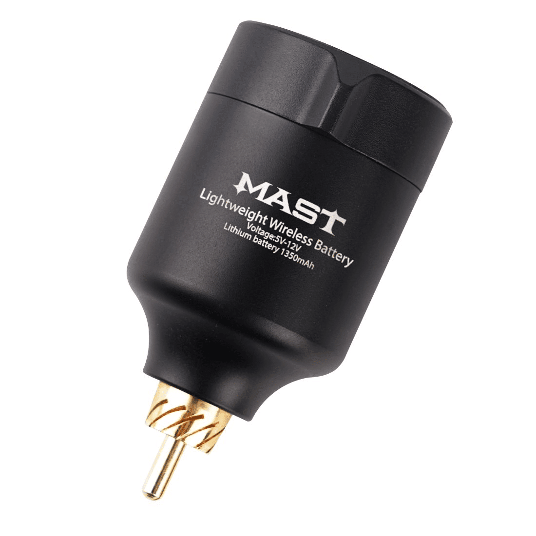Mast T1