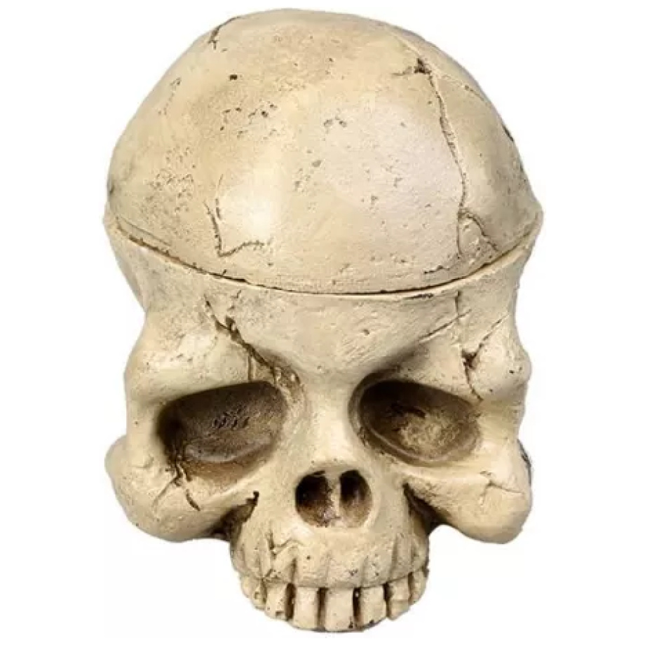5c8630467e.jpg.640×640-1.webp