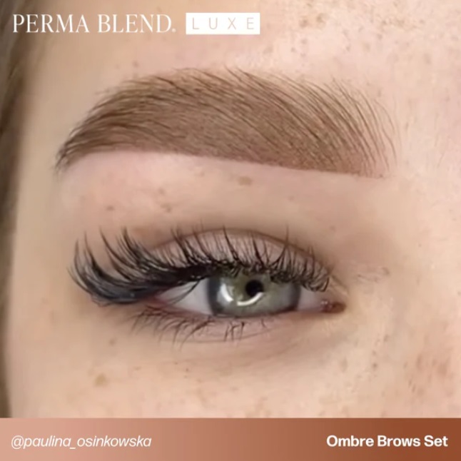 Ombre Brows Collection